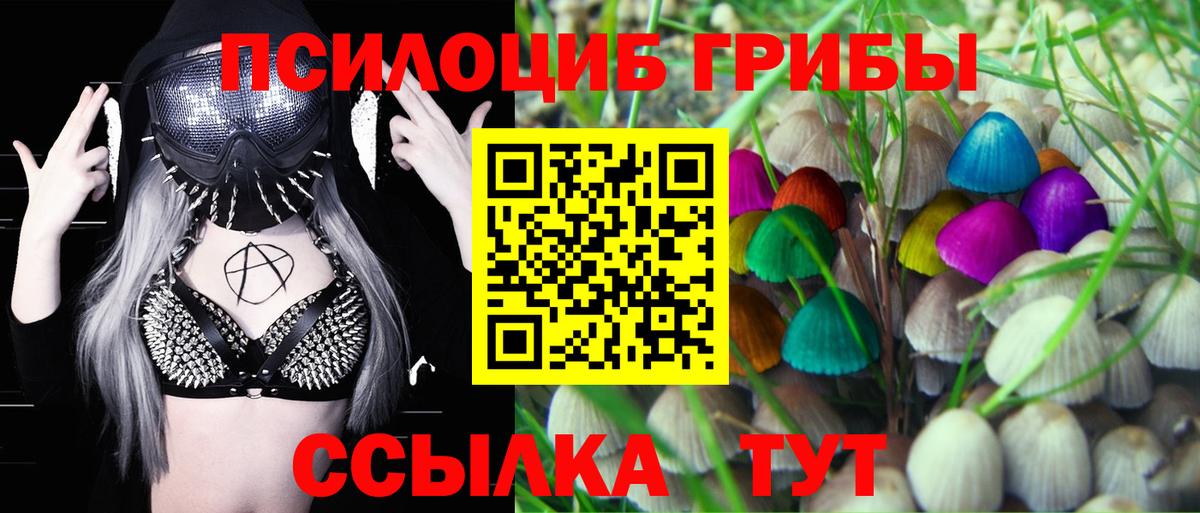 Псилоцибиновые грибы Cubensis  Вход с VPN  где можно купить наркотик  Полысаево 