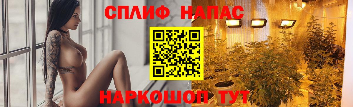 Шишки марихуана конопля  Бошки Шишки сатива  Бошки Шишки семена  Вход с VPN  Полысаево 